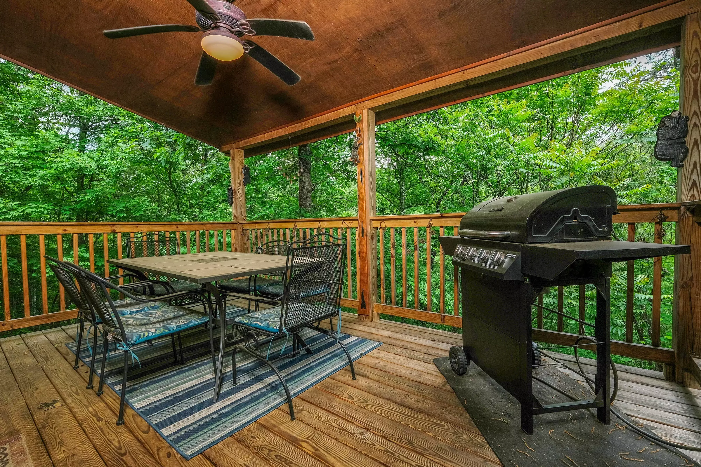 Sevierville Cabin Rental Jackson's Starry Nite Sky 217 2 bedroom