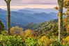 Stunning Gatlinburg TN fall foliage at Newfound Gap.
