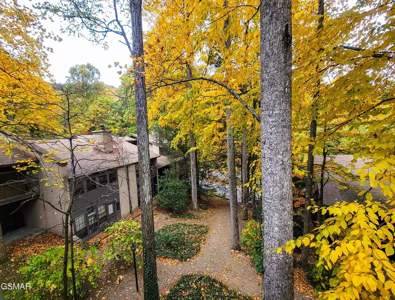 Property image, Exterior, of Bear Hug Hideaway #368