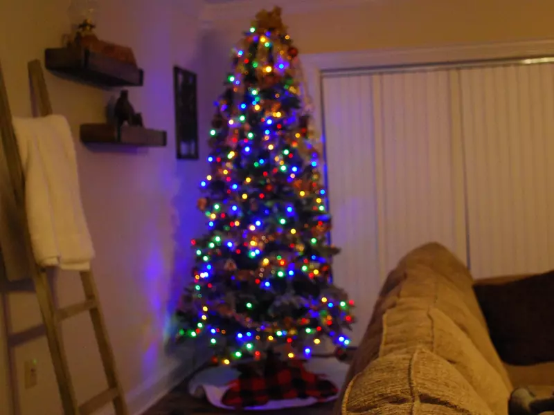 Property image, Exterior, of Bear Hug Hideaway #368