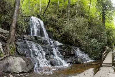 Laurel Falls