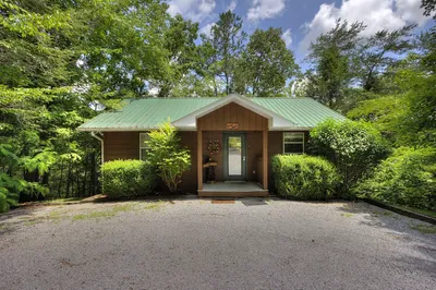 aunt bug's cabin surrounded by trees