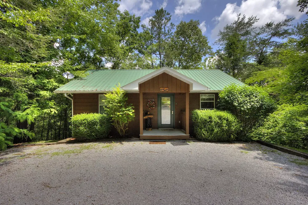 aunt bug's cabin surrounded by trees