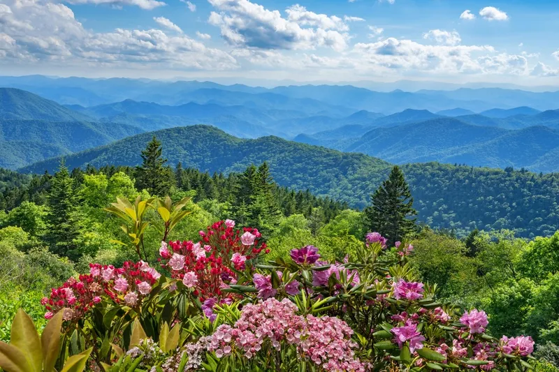 spring in the Smoky Mountains