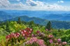spring in the Smoky Mountains