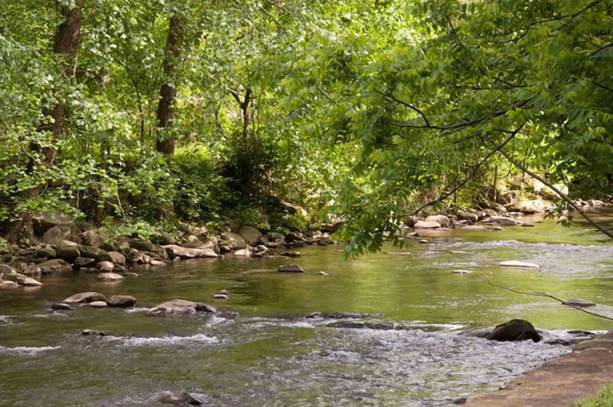 Property image, Exterior, of Granny's River Retreat #458