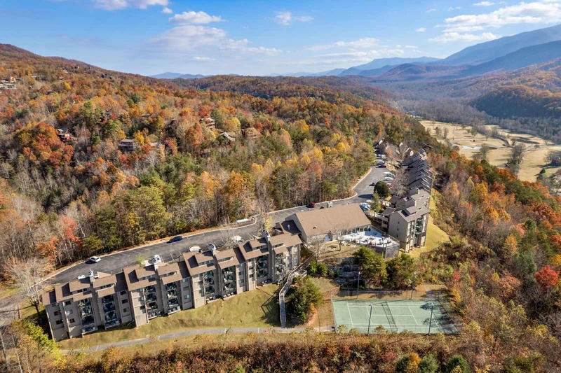 The Bear Hug