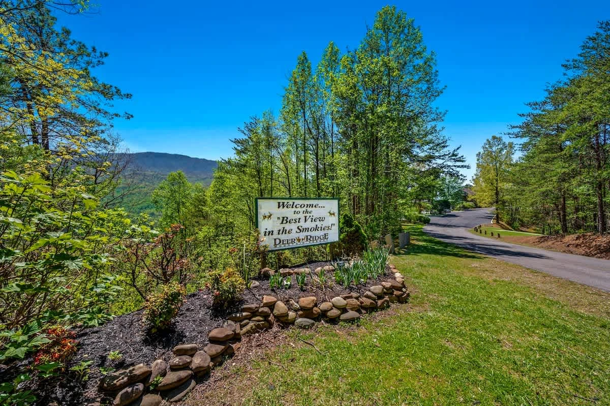 Rocky Top Oasis
