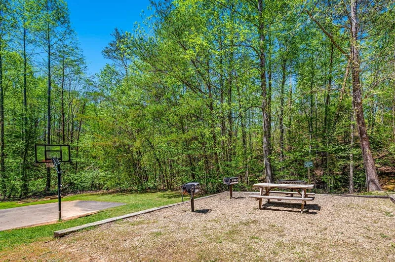 Shared Amenity - Grill & Basketball Court
