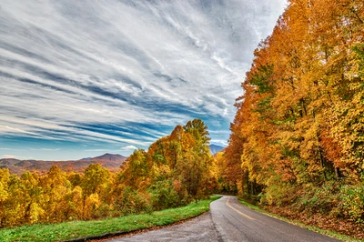 foliage during fall in the smoky mountains