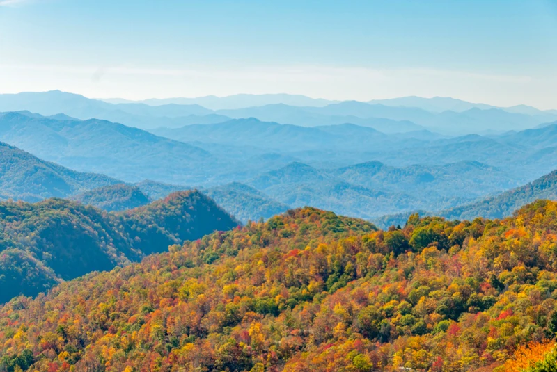 folliage during fall in the smoky mountains