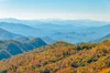 folliage during fall in the smoky mountains