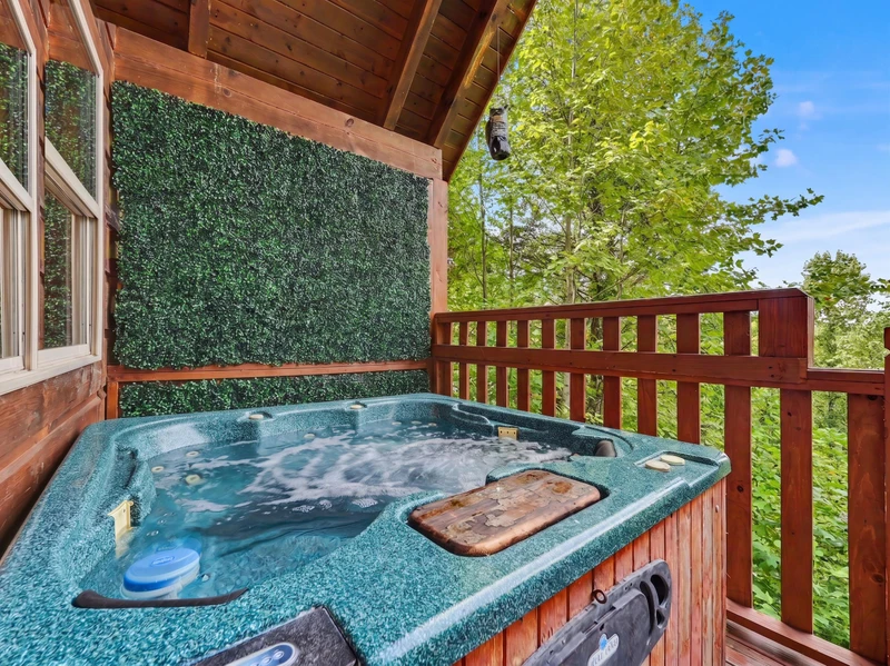 Property image, Exterior, of American Dream #142