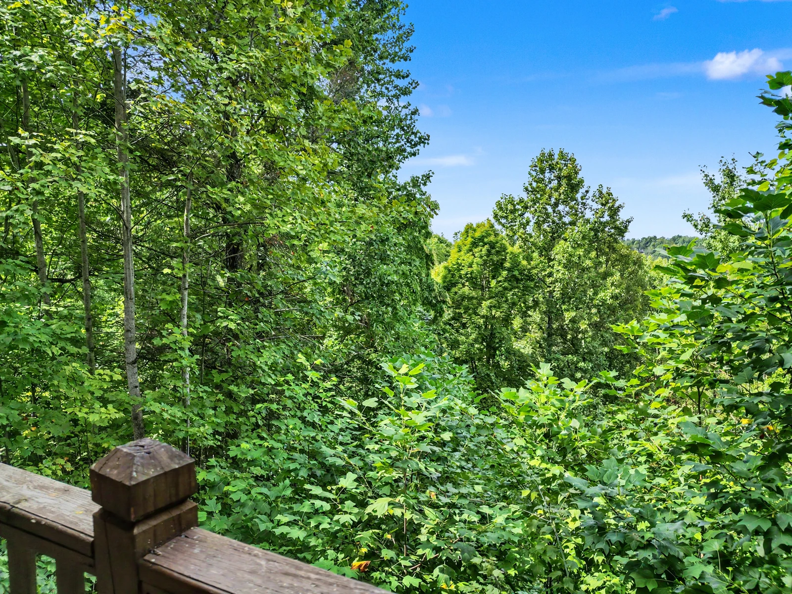 Property image, Exterior, of American Dream #142