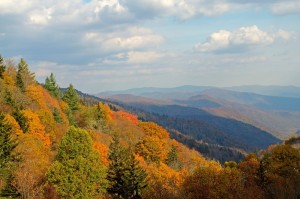 Fall colored trees across the Smoky Mountains
