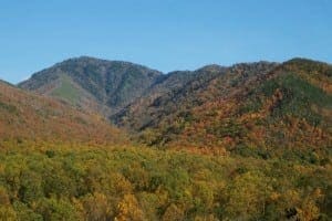 View of the autumn colors in the Smoky Mountains