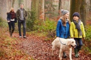A family hiking in the woods with their dog on a fall day.