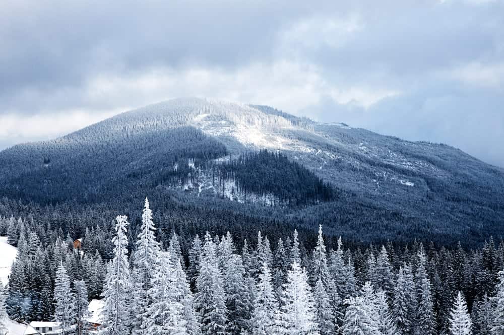 Scenic photo of the Smoky Mountains in winter.