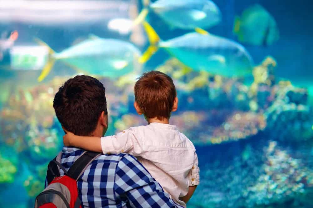 Father and son at an aquarium.