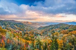 autumn colors in newfound gap in the smoky mountains
