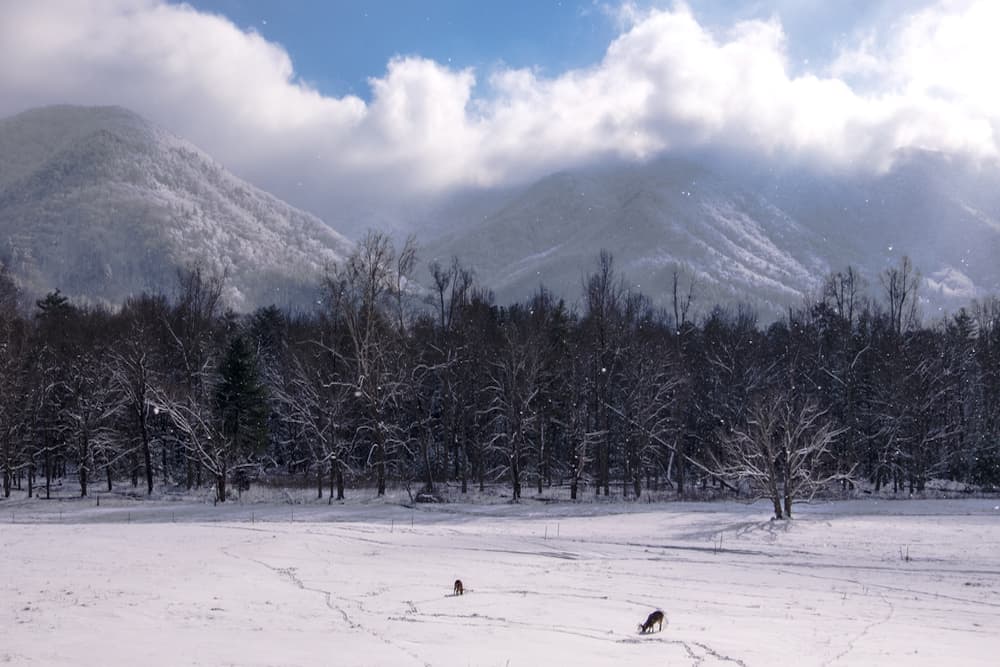 snow covering the mountains and valley in cades cove